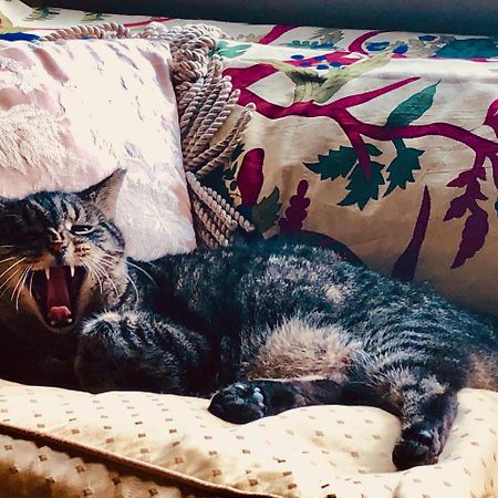 Inman Park Bed And Breakfast أتلانتا المظهر الخارجي الصورة