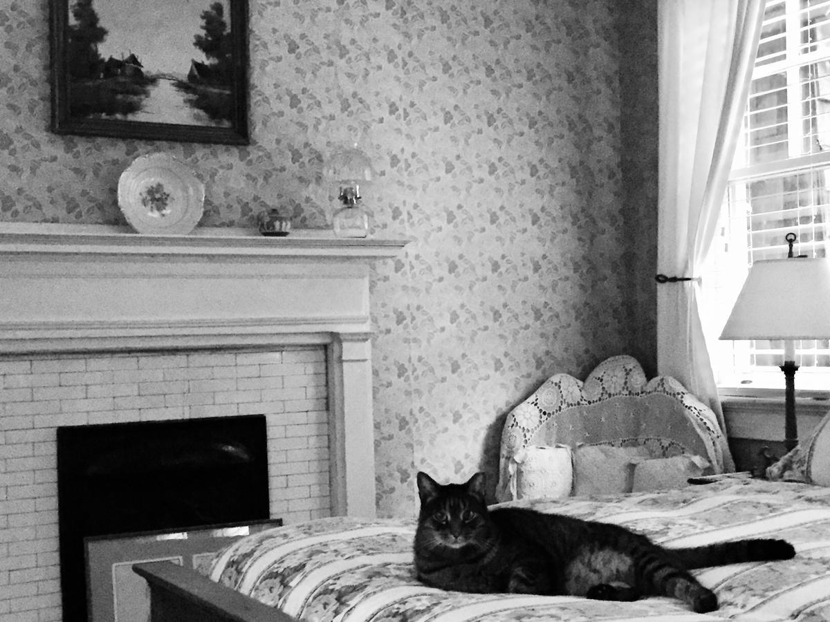 Inman Park Bed And Breakfast أتلانتا المظهر الخارجي الصورة